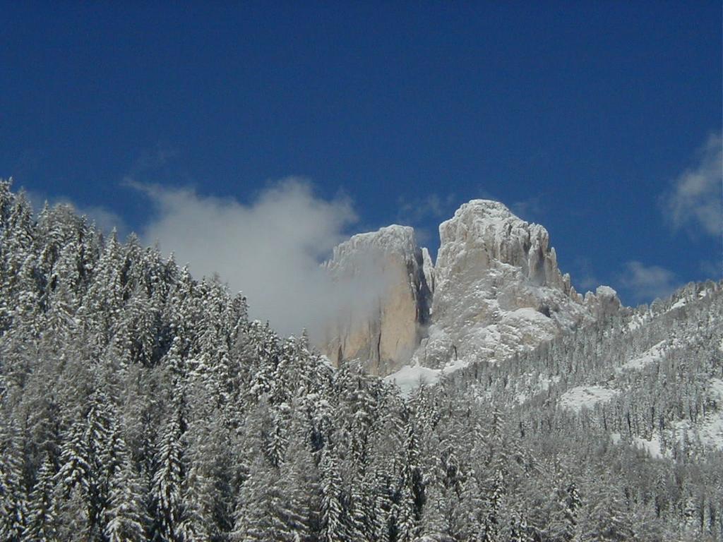 Col Rodella Apartment Campitello di Fassa Cameră foto