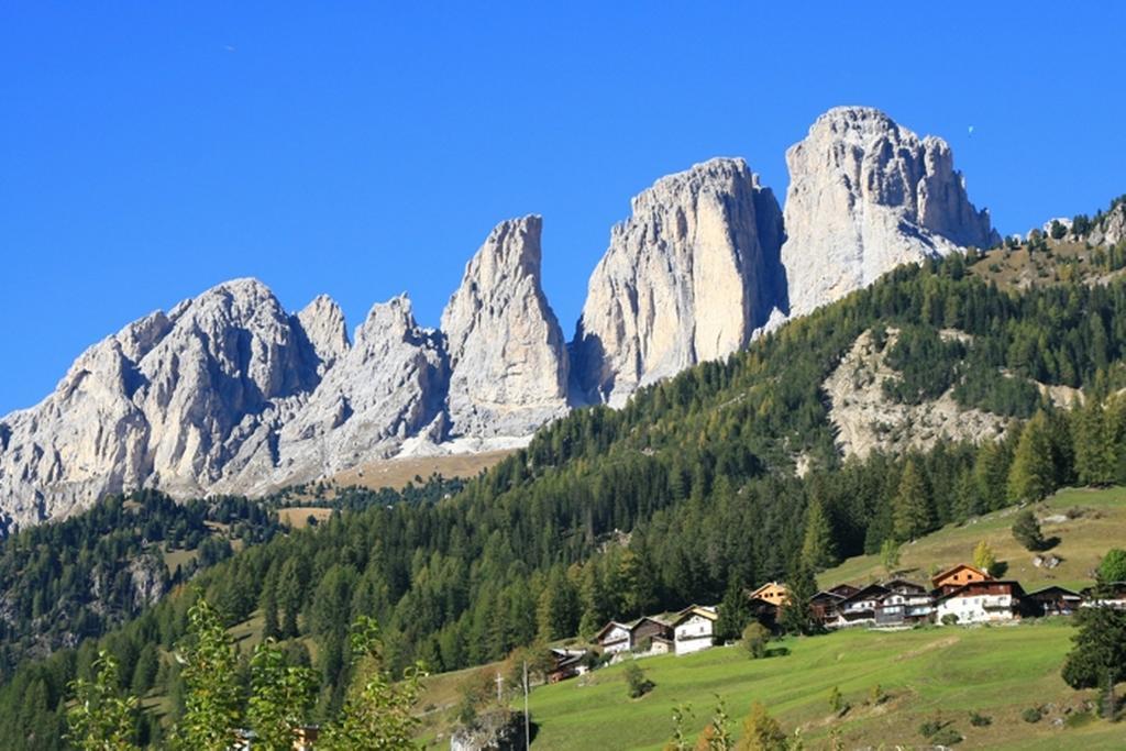 Col Rodella Apartment Campitello di Fassa Cameră foto
